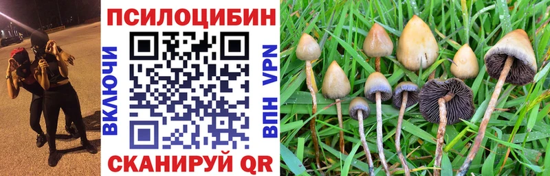 Псилоцибиновые грибы ЛСД Березники